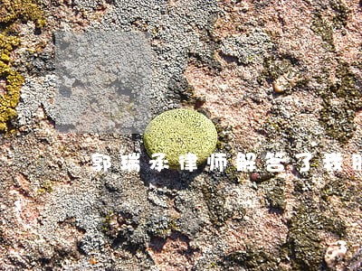 郭瑞承律师解答了我朋友被强奸了 郭瑞承律师解答了我朋友被强奸了