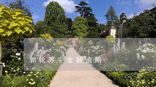 郭轮苏宁金融逾期 郭轮苏宁金融逾期