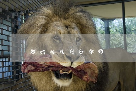 郯城动迁纠纷律师 郯城动迁纠纷律师