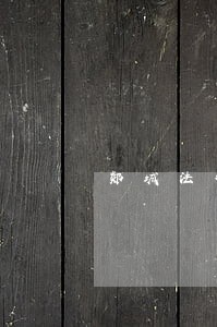 郯城法律咨询哪家强