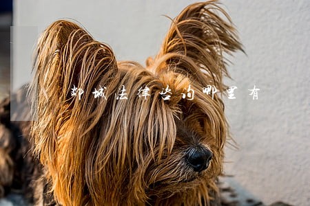 郯城法律咨询哪里有 郯城法律咨询哪里有