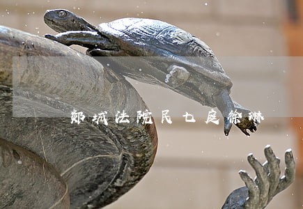 郯城法院民七庭徐琳 郯城法院民七庭徐琳