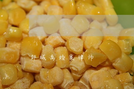 郯城离婚案律师
