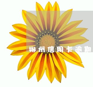 郴州信用卡逾期还不起怎么办 郴州信用卡逾期还不起怎么办