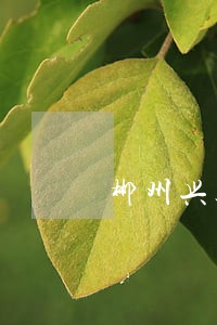 郴州兴达司法鉴定中心 郴州兴达司法鉴定中心