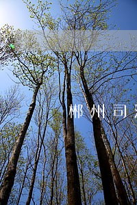 郴州司法学院是二本吗 郴州司法学院是二本吗