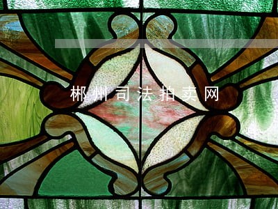 郴州司法拍卖网 郴州司法拍卖网