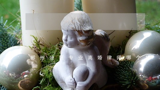 郴州地区专业离婚律师哪个好 郴州地区专业离婚律师哪个好