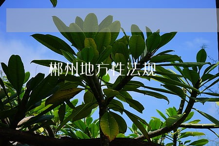 郴州地方性法规 郴州地方性法规
