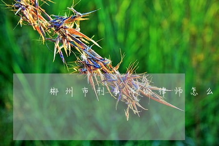 郴州市刑事诉讼律师怎么找 郴州市刑事诉讼律师怎么找