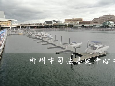 郴州市司法鉴定中心有哪几家 郴州市司法鉴定中心有哪几家