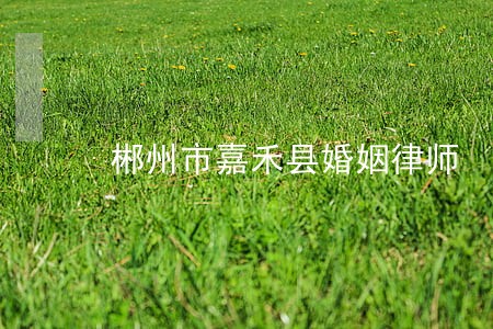 郴州市嘉禾县婚姻律师 郴州市嘉禾县婚姻律师