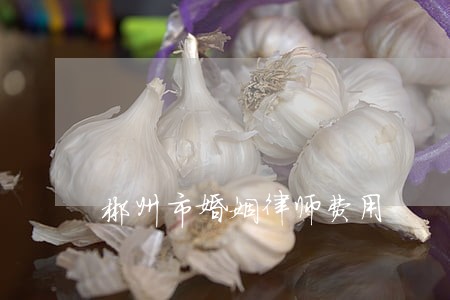 郴州市婚姻律师费用 郴州市婚姻律师费用