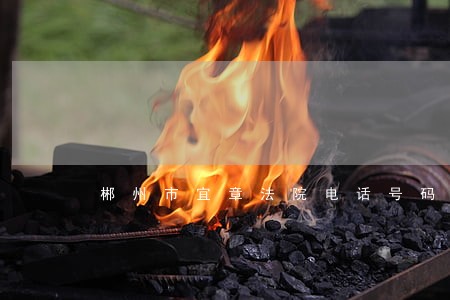 郴州市宜章法院电话号码 郴州市宜章法院电话号码