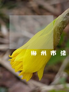 郴州市法律援助中心张居彪 郴州市法律援助中心张居彪
