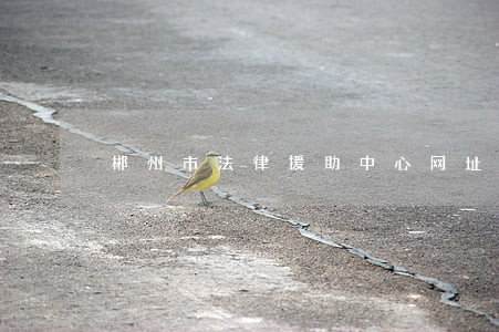 郴州市法律援助中心网址 郴州市法律援助中心网址