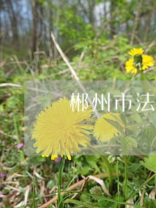 郴州市法院书记员考试