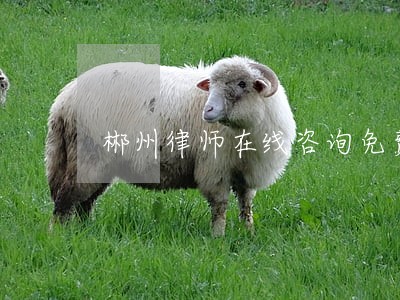 郴州律师在线咨询免费 郴州律师在线咨询免费