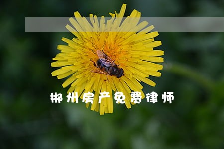 郴州房产免费律师 郴州房产免费律师