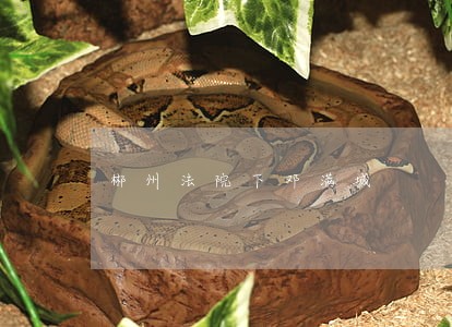 郴州法院下邓满城 郴州法院下邓满城
