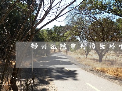 郴州法院审判污染环境照片 郴州法院审判污染环境照片