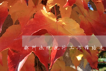 郴州法院执行工作经验交流会召开 郴州法院执行工作经验交流会召开