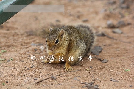 郴州法院结案率