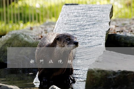 郴州法院越权 郴州法院越权