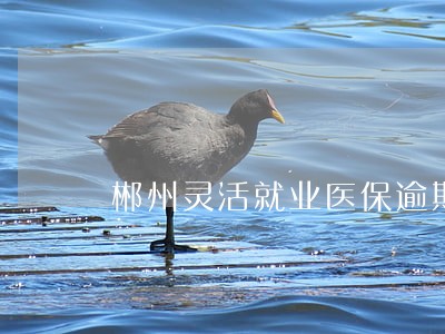 郴州灵活就业医保逾期缴费 郴州灵活就业医保逾期缴费