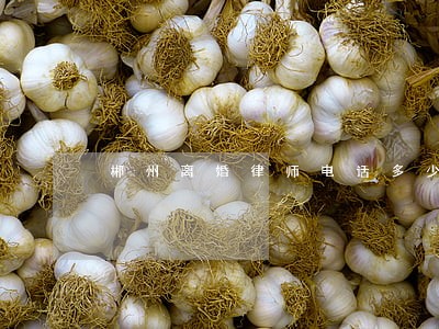 郴州离婚律师电话多少 郴州离婚律师电话多少