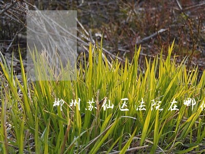 郴州苏仙区法院在哪条街 郴州苏仙区法院在哪条街