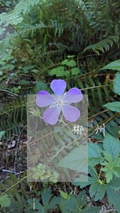 郴州苏仙法院司法警察