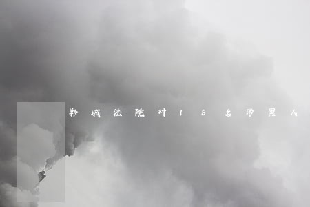 郸城法院对18名涉黑人员宣判 郸城法院对18名涉黑人员宣判