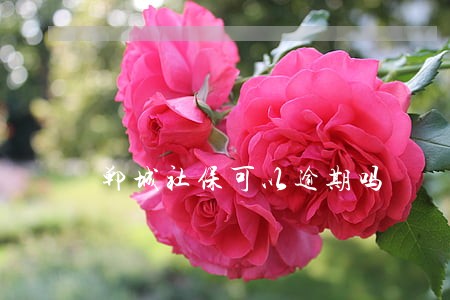 郸城社保可以逾期吗 郸城社保可以逾期吗