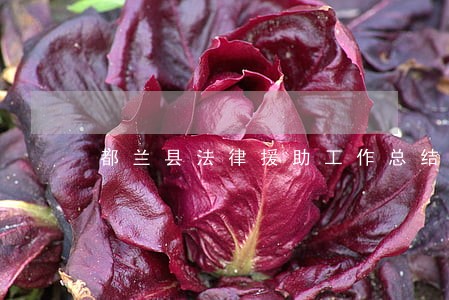 都兰县法律援助工作总结