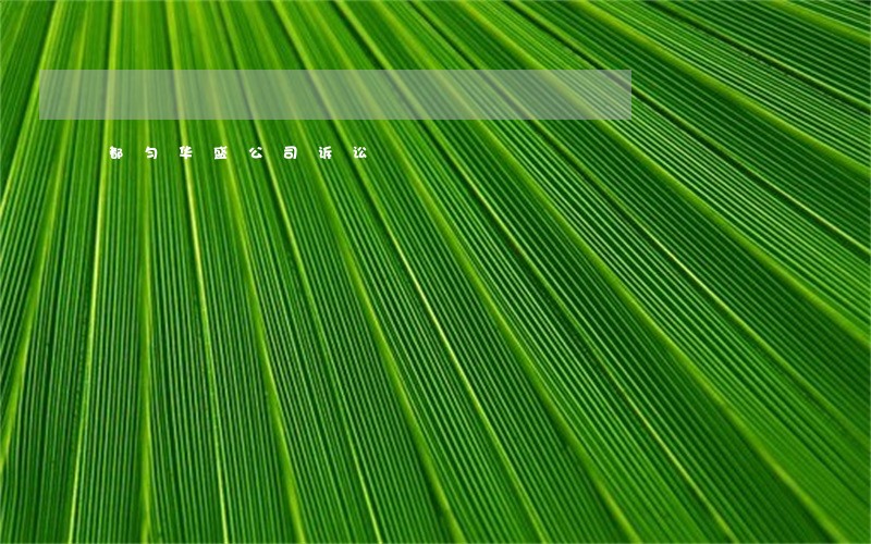 都匀华盛公司诉讼 都匀华盛公司诉讼