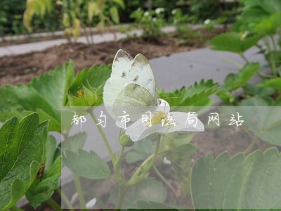 都匀市司法局网站 都匀市司法局网站