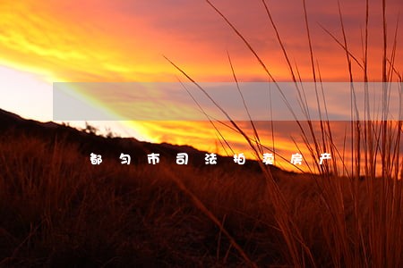 都匀市司法拍卖房产 都匀市司法拍卖房产