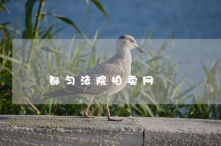 都匀法院拍卖网 都匀法院拍卖网