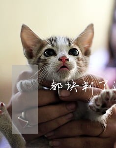 都块判了还要法律援助干什么 都块判了还要法律援助干什么