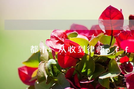 都市:从收到律师offer开始