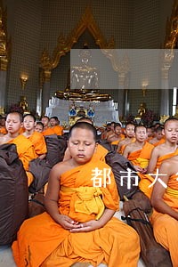 都市大律师 都市大律师