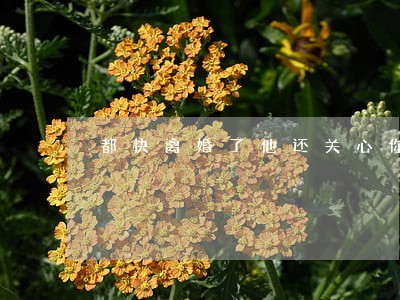 都快离婚了他还关心你 都快离婚了他还关心你