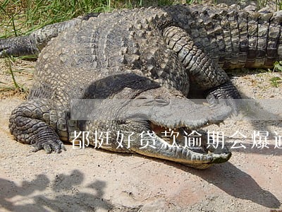 都挺好贷款逾期会爆通讯录吗 都挺好贷款逾期会爆通讯录吗