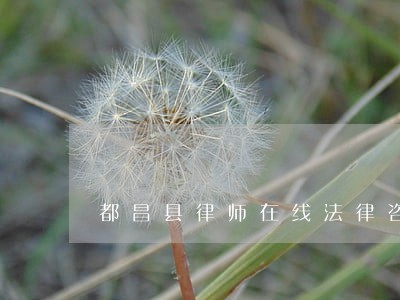都昌县律师在线法律咨询服务