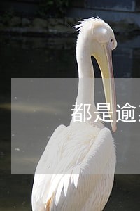 都是逾期一两天 都是逾期一两天