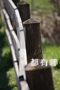都有哪些可以导致逾期 都有哪些可以导致逾期