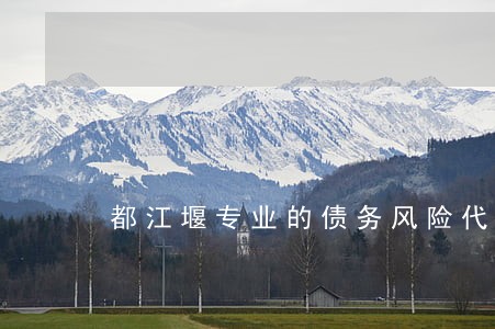 都江堰专业的债务风险代理律师 都江堰专业的债务风险代理律师