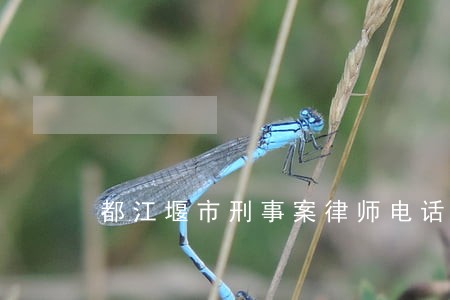 都江堰市刑事案律师电话多少 都江堰市刑事案律师电话多少