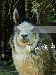 都江堰市法律顾问服务
